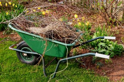 Spring Landscape Cleanup