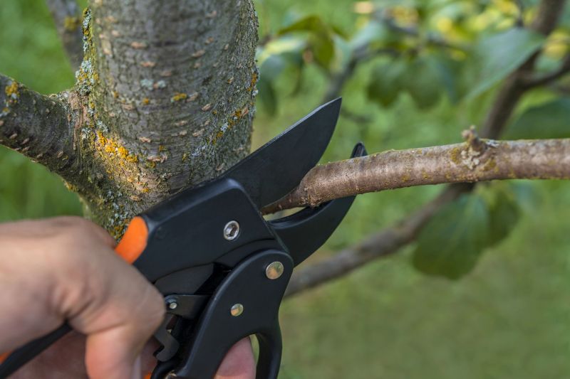 Tools for Dead Shrub Removal