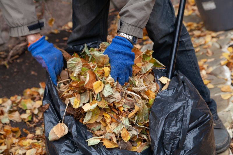 Tools Used for Fall Leaf Collection