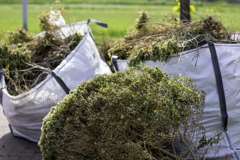 Products For Dead Shrub Removals in use